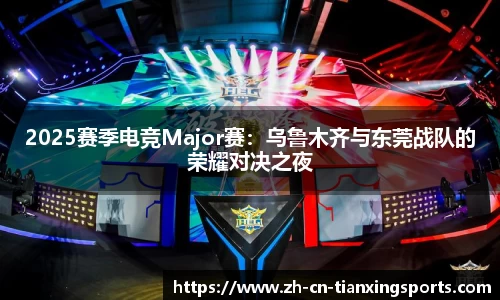 2025赛季电竞Major赛：乌鲁木齐与东莞战队的荣耀对决之夜